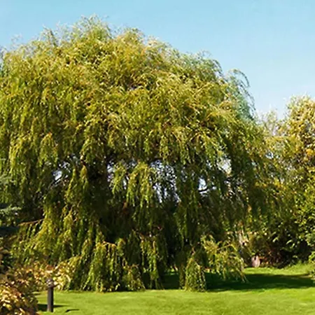 Alte Remise R4 Comfortable * Sankt Peter-Ording